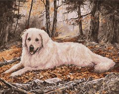 Купить Охотничья собака Картина по номерам с частичной алмазной мозаикой  в Украине