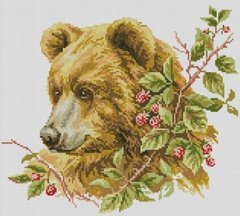 Купить Набор для алмазной вышивки Дрим Арт Коричневый медведь  в Украине