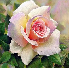 Купити Діамантова мозаїка з повним закладенням полотна Рожева троянда  в Україні