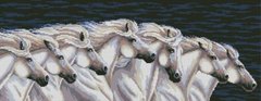Купить 30962 Семерка лошадей Набор алмазной вышивки квадратными камнями  в Украине