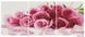 Набір алмазної мозаїки триптих ColorArt Букет троянд 3х40х50 TR1001, Ні