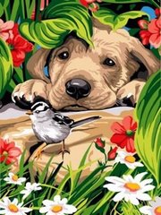 Купити Розмальовування по номерах картина Пташка і допитливе щеня  в Україні
