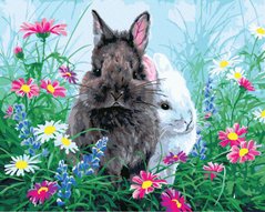 Купити Малювання картин за номерами (без коробки) Двоє кролів  в Україні