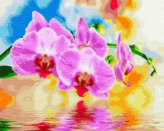 Купить Картина по номерам без коробки Орхидеи над водой  в Украине