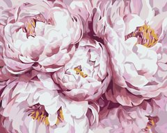 Купити Ніжно-рожеві піони. Набір для малювання картини за номерами  в Україні