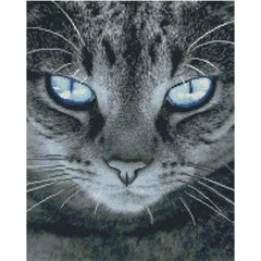 Купить Алмазная мозаика 40х50 см квадратными камушками Строгий кот  в Украине