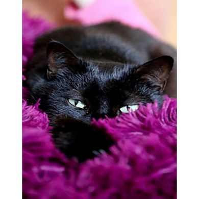Купить Черный котик в пледике Набор для алмазной мозаики (подвесной вариант) 40х50см  в Украине