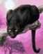 Черная пантера Раскраска по номерам, Без коробки, 40 х 50 см