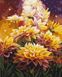 Рисование цифровой картины по номерам Космические цветы ©Anna Steshenko, Без коробки, 40 х 50 см