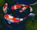 Картина за номерами - Грайливі рибки ©nata_li_karlova Идейка 40х50 см (KHO4488)
