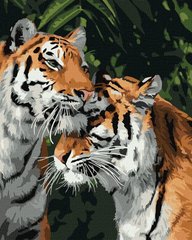 Купить Тигровая любовь Цифровая картина раскраска  в Украине