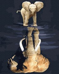 Купить Картина раскраска по номерам Дух слона 40 х 50 см (без коробки)  в Украине