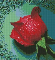 Купить 30288 Роса на красной розе Набор алмазной мозаики  в Украине