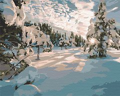Купити Зимовий ранок Картина за номерами без коробки  в Україні