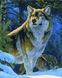 Гордый волк Раскраска + алмазка Картина по номерам с частичной выкладкой круглыми камнями, Без коробки, 40 х 50 см