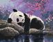 Рисовать картину по номерам без коробки Сладкий сон панды, Без коробки, 40 х 50 см