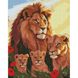 Львиная семья ©Сергей Лобач Алмазная мозаика на подрамнике 40х50см, Да, 40 х 50 см