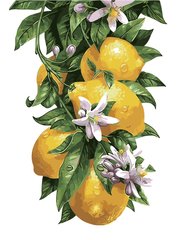 Купить Картина по номерам Лимонное дерево  в Украине
