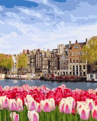 Купить Тюльпаны Амстердама Цифровая картина по номерам (без коробки)  в Украине