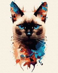 Купить Живопись по номерам Цветной кот ( без коробки )  в Украине