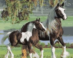 Купить Рисование картины по номерам Семья лошадей  в Украине