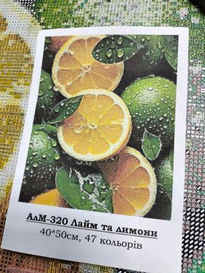 Купити Лайм та лимони Алмазна вишивка Квадратні стрази 40х50 см з голограмними відтінками  в Україні