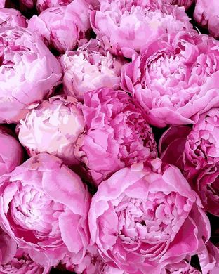 Купити Надзвичайність рожевих піонів Полотно для малювання по цифрам 40 х 50 см  в Україні