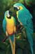Зеленые попугаи Набор для алмазной мозаики на подрамнике 30х40см, Да, 30 x 40 см