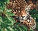 Розфарбовування по номерах Леопард зі смарагдовими очима (без коробки), Без коробки, 40 х 50 см