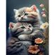 Милые котята Набор для алмазной мозаики (подвесной вариант) 40х50см, Планки (4шт), 40 x 50 см