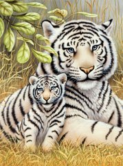 Купити Алмазна вишивка Любов тигриці  в Україні
