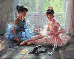 Купити Балерини з кошеням Розпис картин за номерами (без коробки)  в Україні