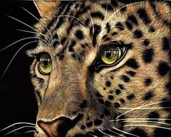 Купити Погляд леопарда. Набір для алмазної вишивки квадратними камінчиками  в Україні