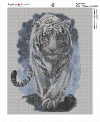 Купить Тигр – Мощь и красота Набор алмазной вышивки камнями  в Украине