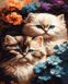 Рисование картин по номерам (без коробки) Очаровательные котята, Без коробки, 40 х 50 см