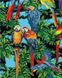 Папуги Алмазна картина розфарбування 40 х 50 см, Без коробки, 40 х 50 см