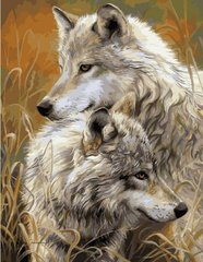 Купити Пара степових вовків Алмазна мозаїка На підрамнику 40 на 50 см  в Україні