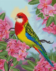 Купити Папуга в квітах Алмазна картина на підрамнику 40 х 50 см  в Україні