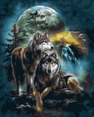 Купить Волки при луне Антистрес раскраска по цифрам без коробки  в Украине