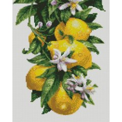 Купить Лимоны 30х40 см Алмазная картина по номерам круглыми камушками  в Украине