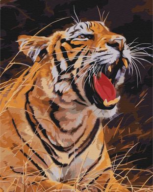 Купити Розфарбовування по номерах Рик тигра (без коробки)  в Україні