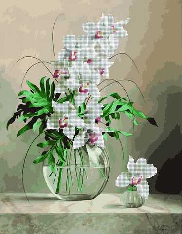 Цветной / Картина по номерам «Орхидеи»