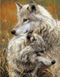 Пара степных волков Алмазная мозаика На подрамнике 40 на 50 см, Да