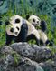 Девять панд худ Стивен Гарднер Картина по номерам 40 x 50 см, Без коробки, 40 х 50 см