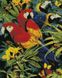 Різнобарвні папужки Мозаїчна картина за номерами, Так