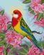 Папуга в квітах Алмазна картина на підрамнику 40 х 50 см, Так, 40 x 50 см