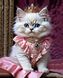 Кошка принцесса 40х50 см Набор алмазной мозаики На подрамнике, Да, 40 x 50 см