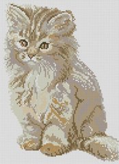 Купить Набор для алмазной вышивки Дрим Арт Пушистый котенок  в Украине
