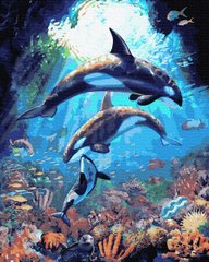 Купити Підводний світ дельфінів. Набір для розфарбовування по цифрам  в Україні