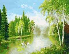 Купити Картина розфарбування по номерах Сім'я лебедів 40 х 50 см (без коробки)  в Україні